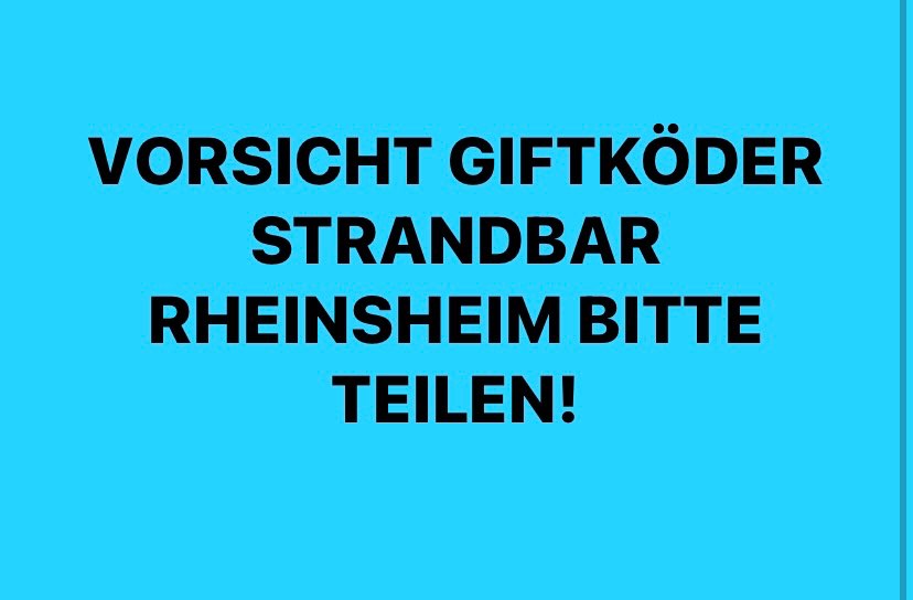 Giftköder-Giftköder-Profilbild