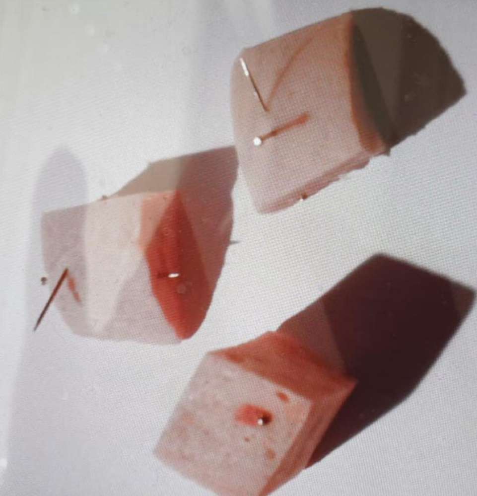 Giftköder-Giftköder-Profilbild