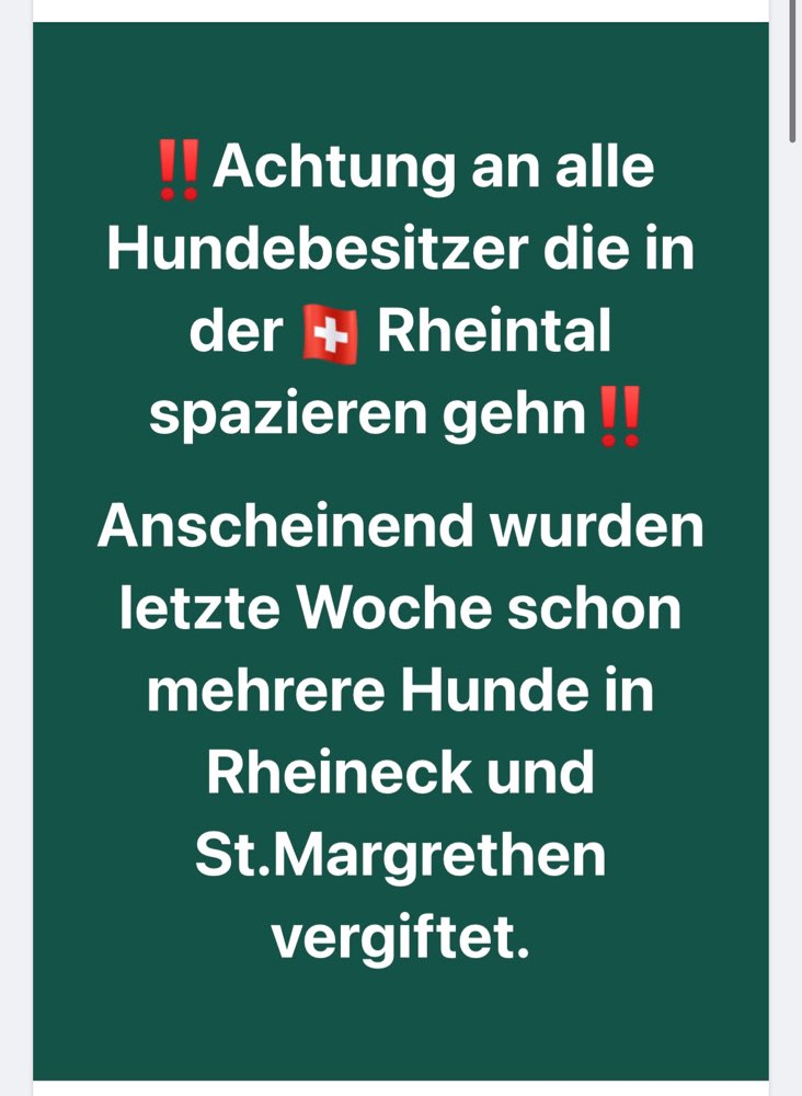 Giftköder-Giftköder-Profilbild