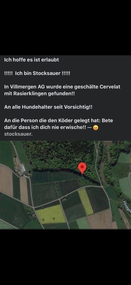 Giftköder-Giftköder mit Rasierklinge-Profilbild