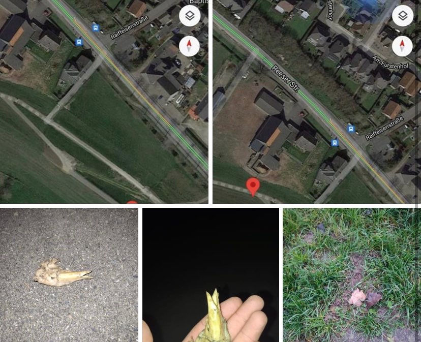 Giftköder-Vergifteter Hund-Profilbild