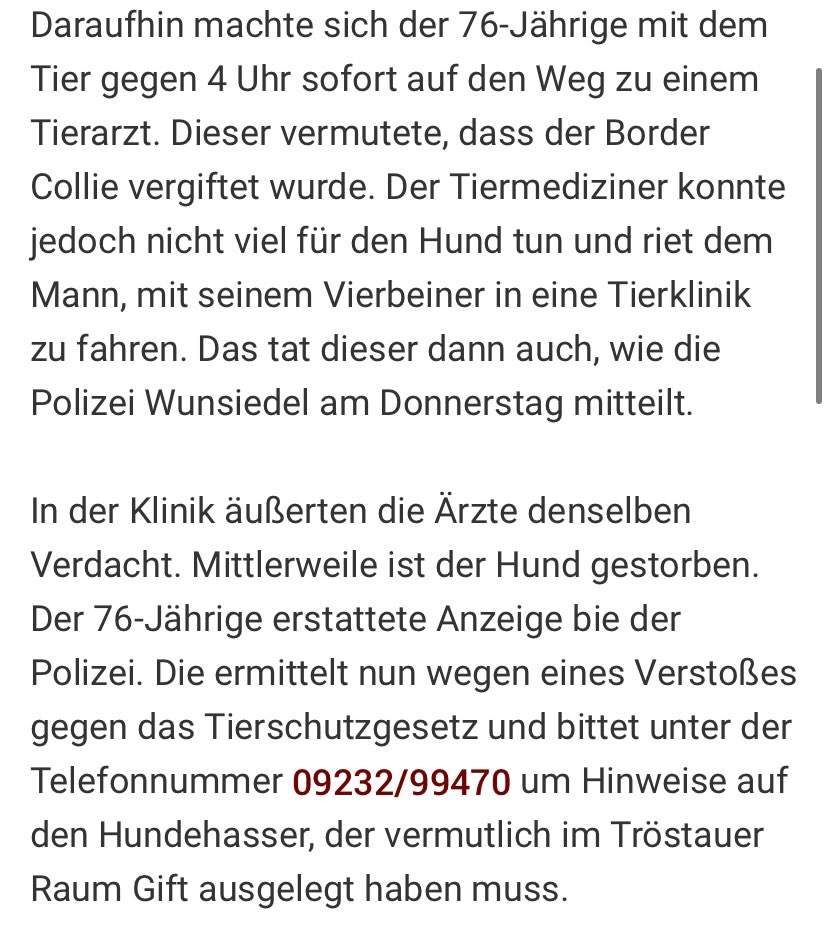 Giftköder-Giftköder-Profilbild