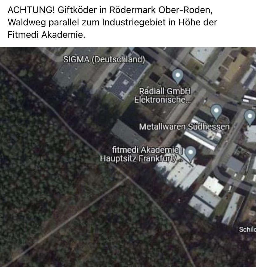 Giftköder-Giftköder-Profilbild