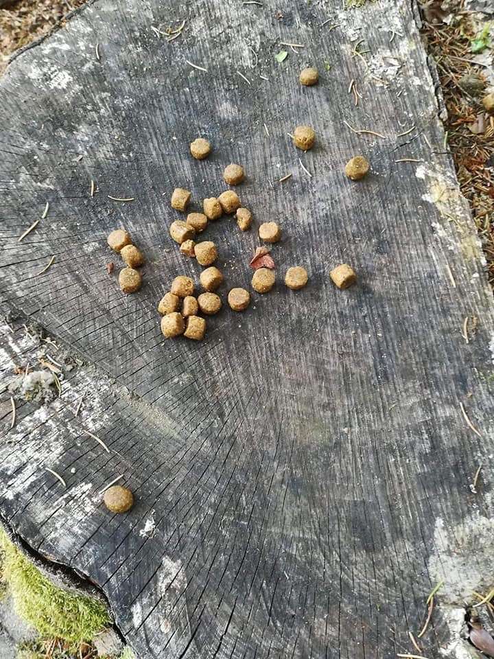 Giftköder-Auffällige Haufen Trockenfutter-Profilbild