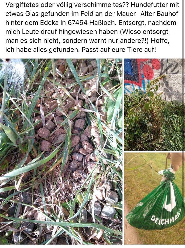 Giftköder-Vergiftetes oder völlig Verschimmeltes-Profilbild