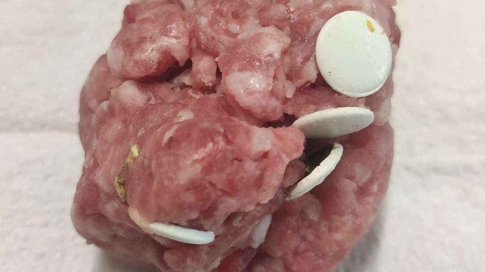 Giftköder-Giftköder mit Reiszwecken-Profilbild