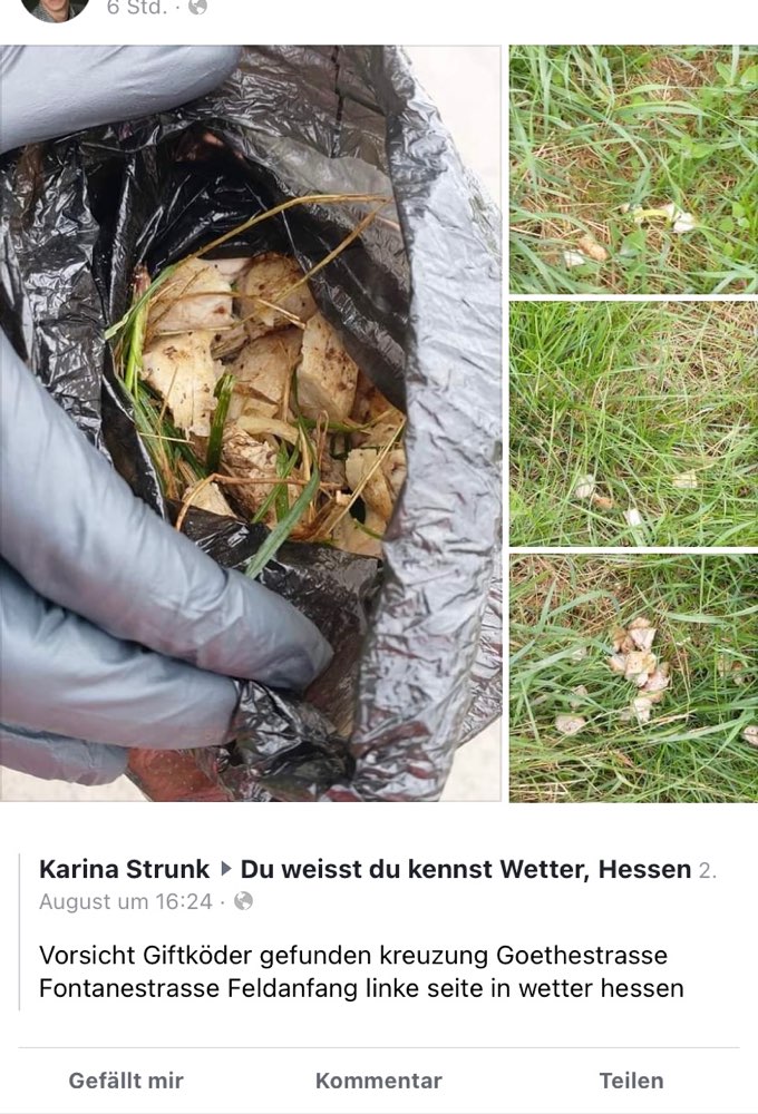 Giftköder-Giftköder-Profilbild