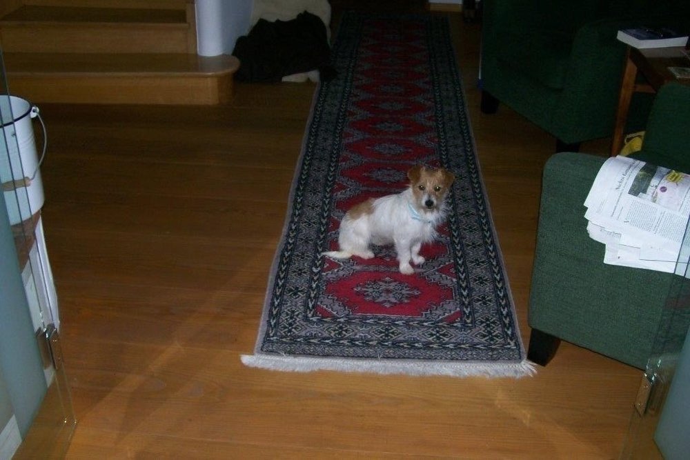 Suchmeldung-Heidi-Profilbild