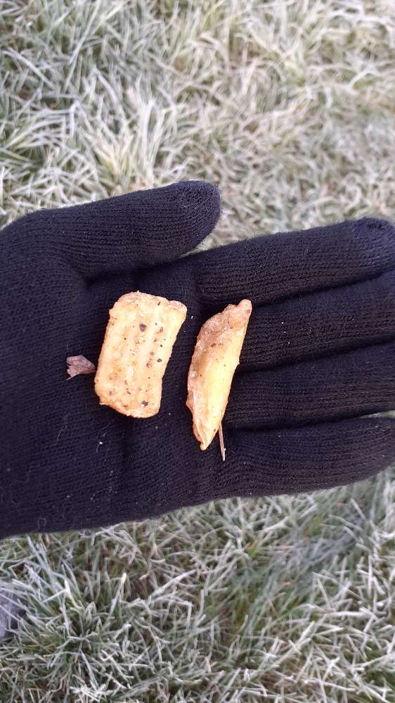 Giftköder-Möglicher Köder-Profilbild