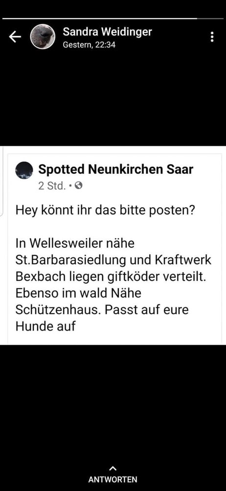 Giftköder-Giftköder-Profilbild