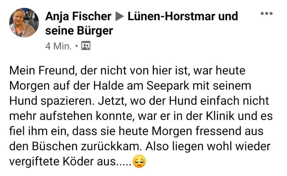Giftköder-Vergifteter Hund-Profilbild
