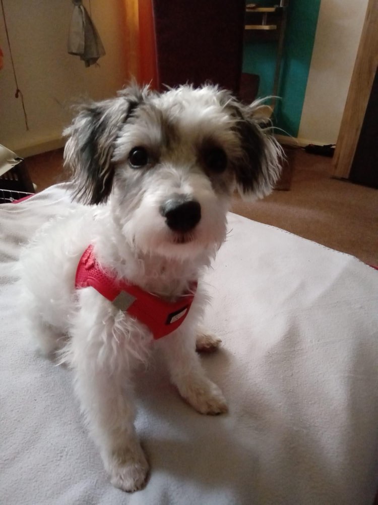 Suchmeldung-Benny-Profilbild