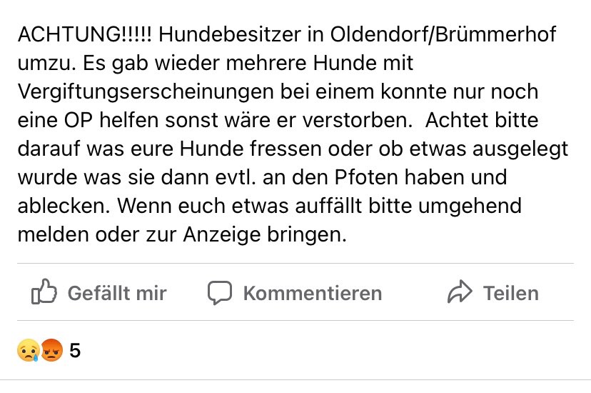 Giftköder-Hunde mit Vergiftungserscheinungen-Profilbild