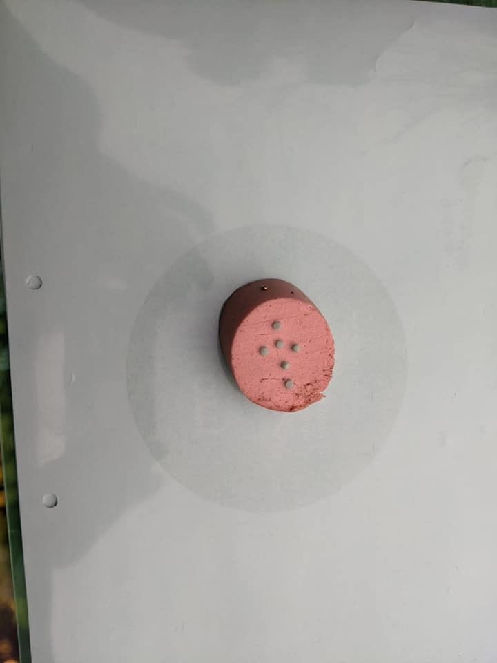 Giftköder-Giftköder - Polizeilich bestätigt-Profilbild