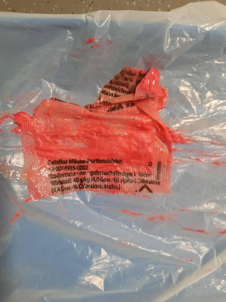 Giftköder-Mäusegift-Profilbild