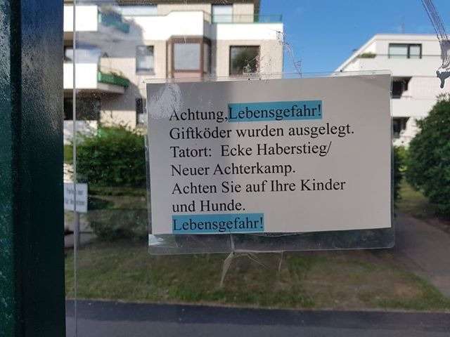 Giftköder-Giftköder-Profilbild