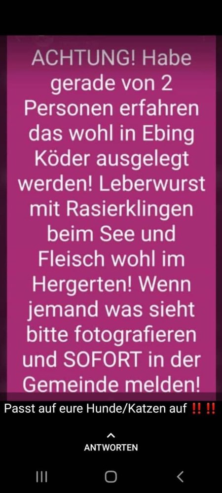 Giftköder-Giftköder-Profilbild