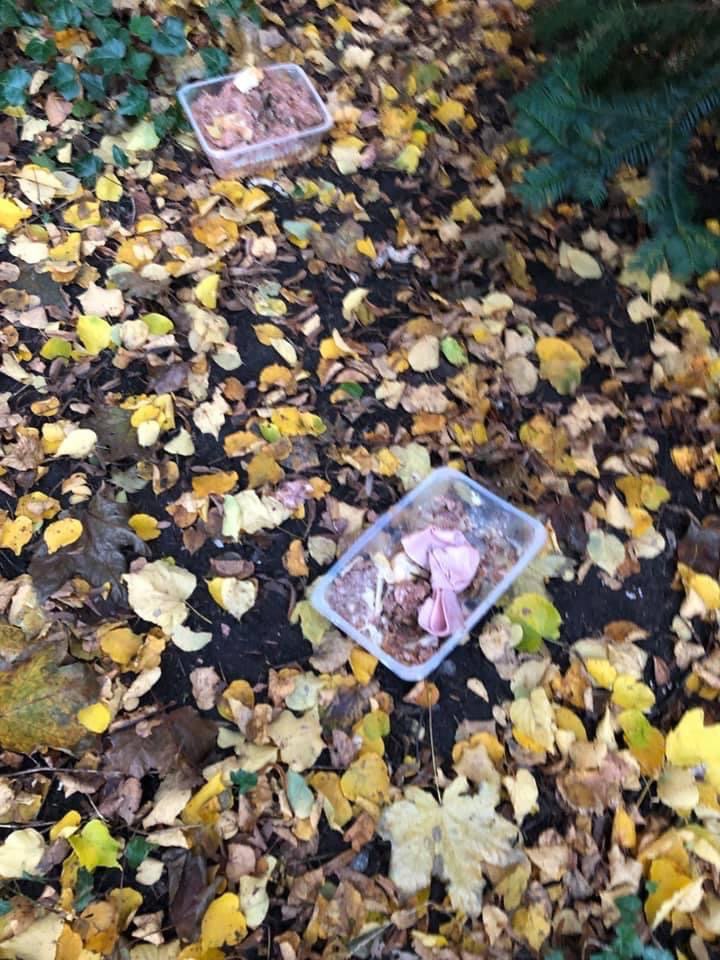 Giftköder-Vermutlich Giftköder-Profilbild