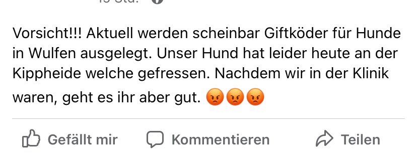 Giftköder-Vergifteter Hund-Profilbild