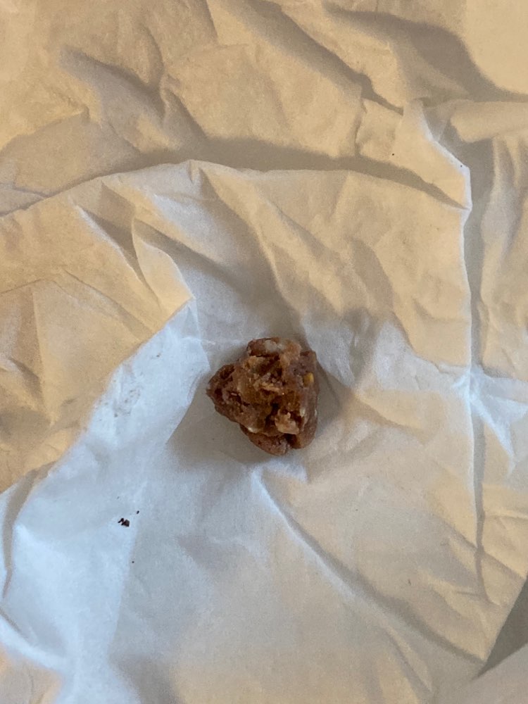 Giftköder-Hackfleischbällchen-vermuteter Giftköder-Profilbild