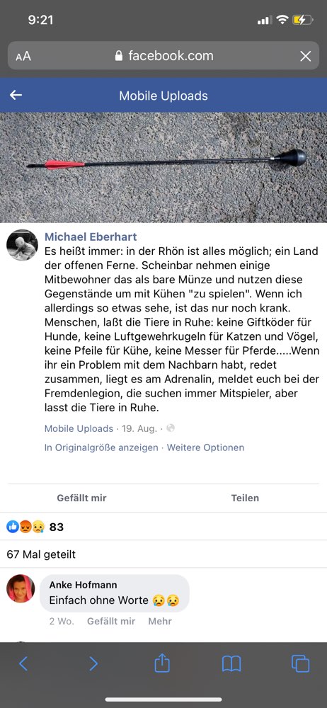 Giftköder-Pfeile auf Kuh geschossen-Profilbild