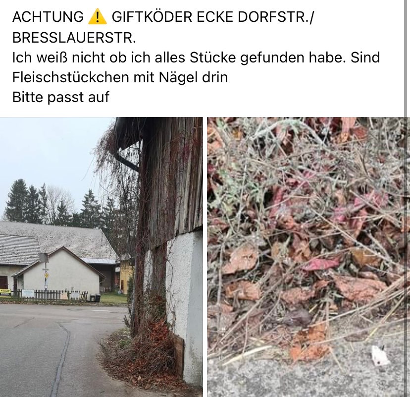 Giftköder-Giftköder-Profilbild