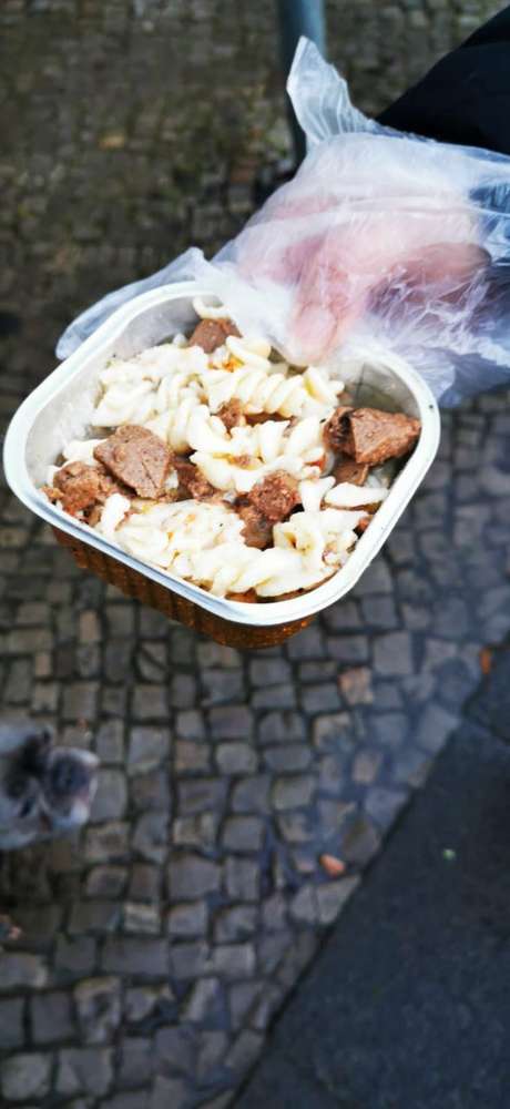 Giftköder-Hundefutter-Profilbild