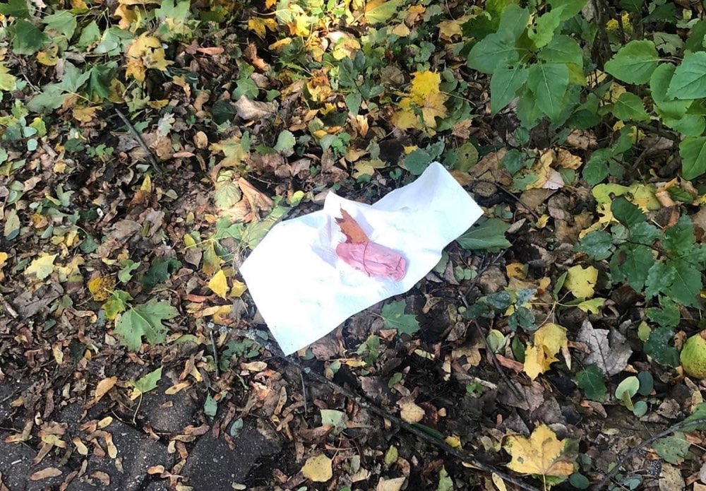 Giftköder-Giftköder-Profilbild