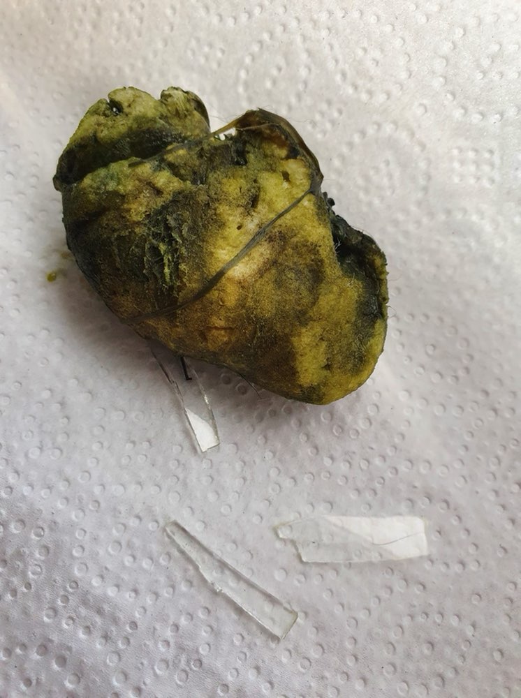 Giftköder-Giftköder mit Rattengift und Cutterklingen-Profilbild