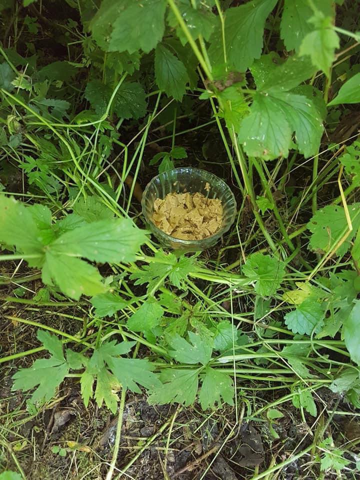 Giftköder-Ausgelegtes Futter-Profilbild