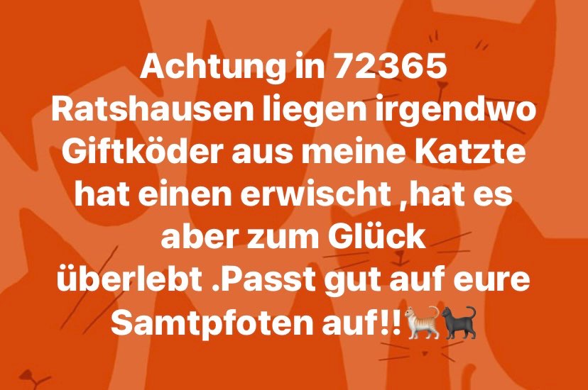 Giftköder-Vergiftete Katze-Profilbild