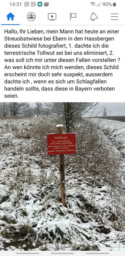 Giftköder-Tollwut Ausbruch-Profilbild