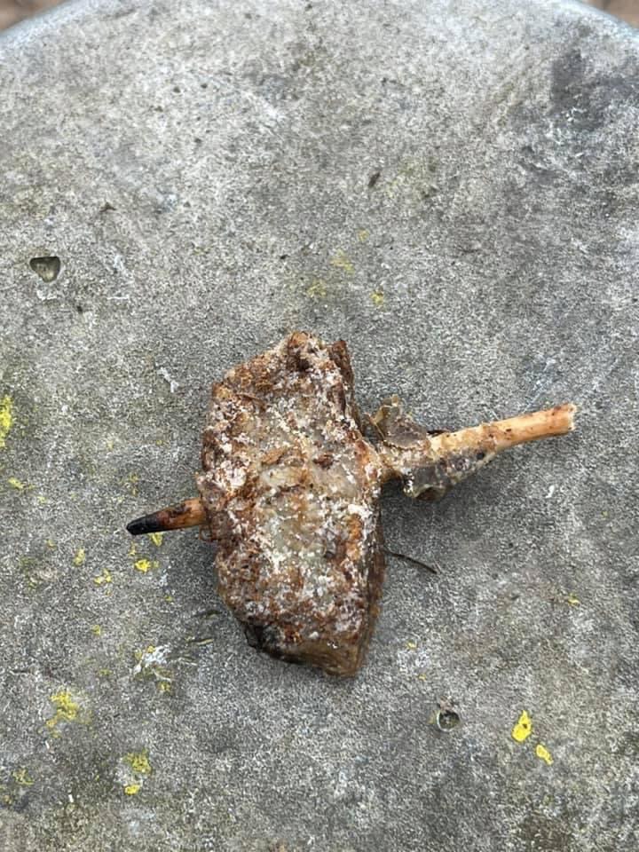 Giftköder-Händchen mit Holzspieß im Wald-Profilbild