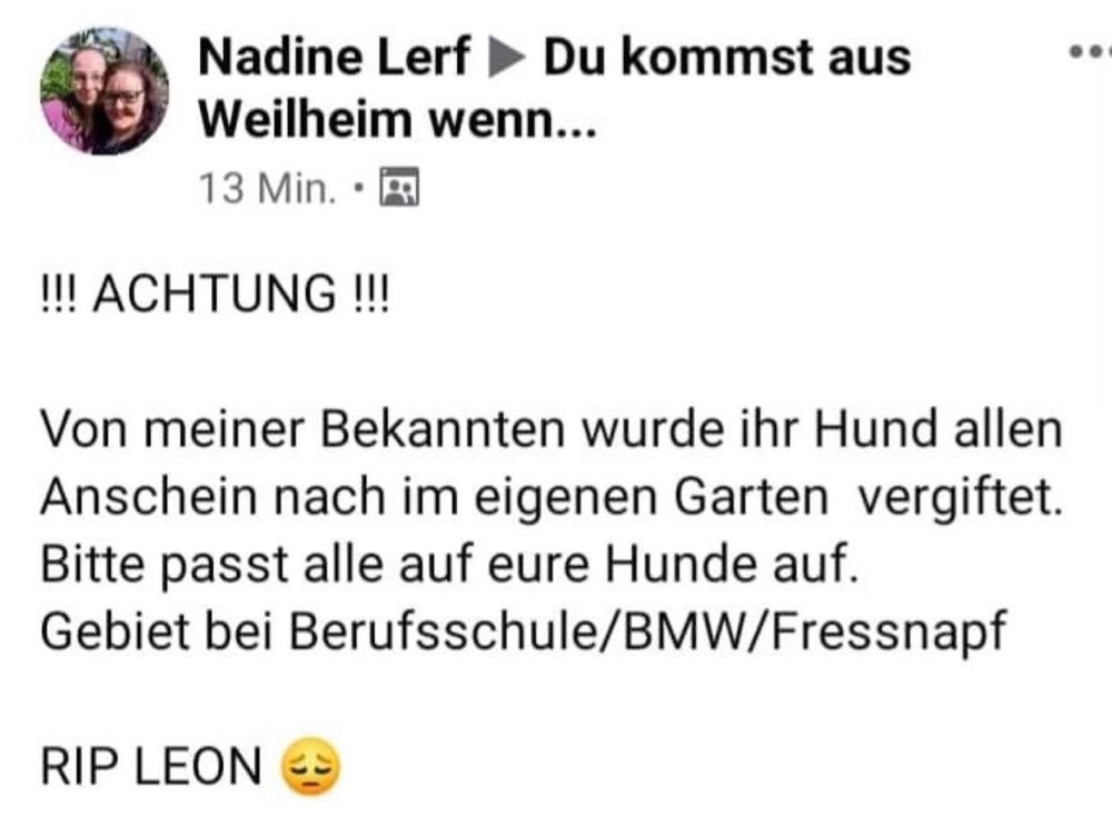 Giftköder-Vergifteter Hund-Profilbild