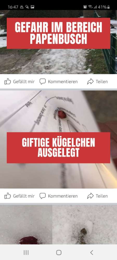Giftköder-Giftköder-Profilbild