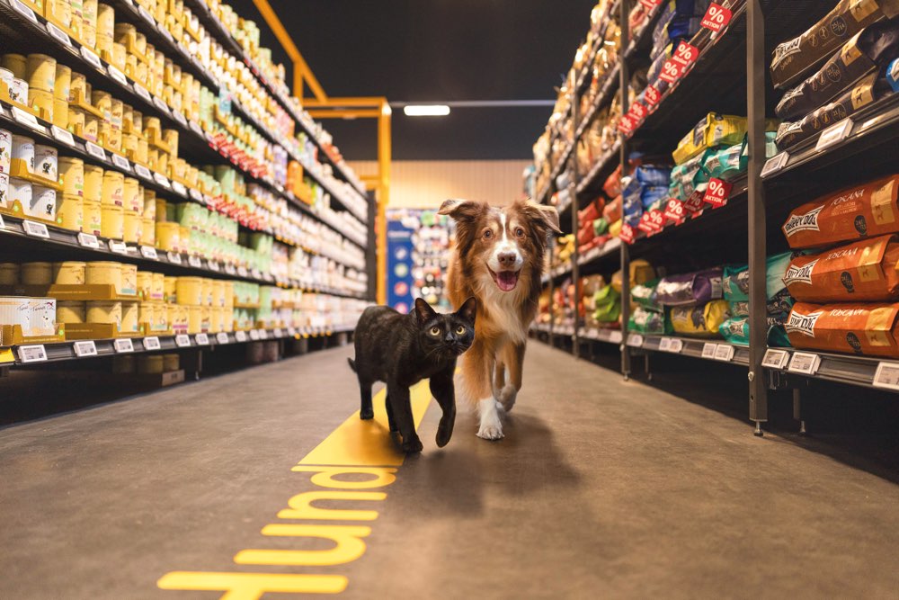 Hundetreffen-Eröffnungsfeier ZooRoyal Düsseldorf-Profilbild