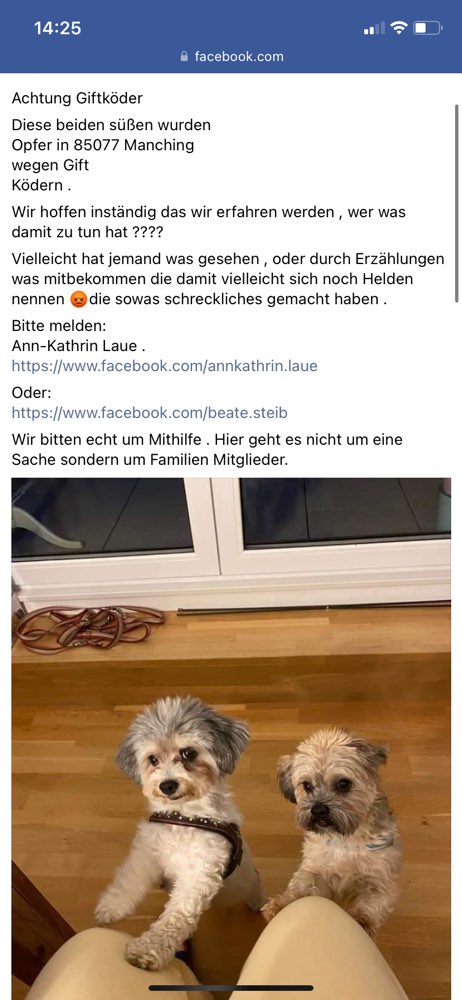 Giftköder-Vergiftet Hunde-Profilbild