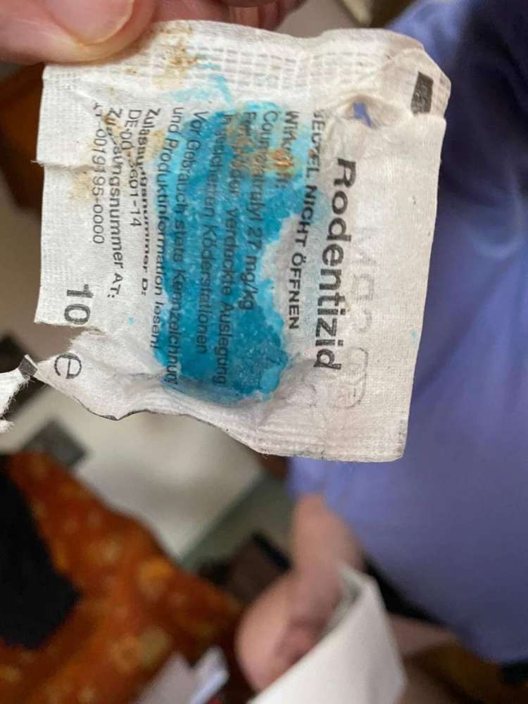 Giftköder-Rattengiftköder-Profilbild