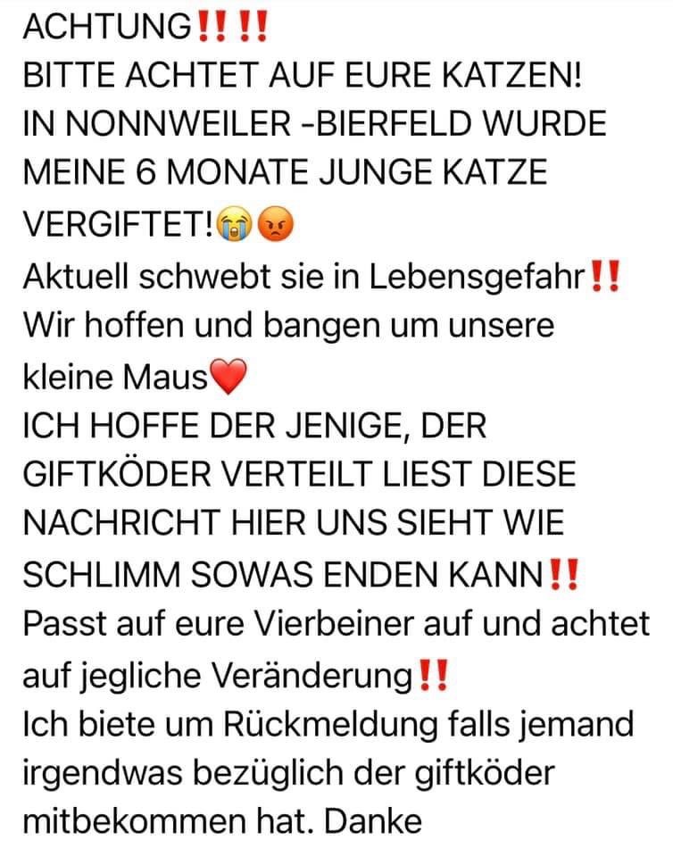 Giftköder-Vergiftete Katze-Profilbild