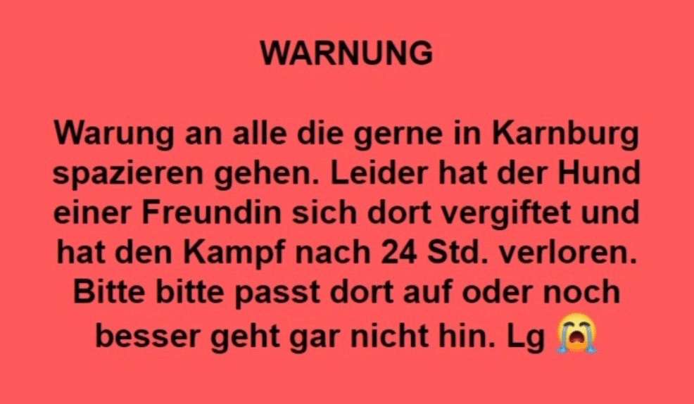 Giftköder-Giftköder-Profilbild