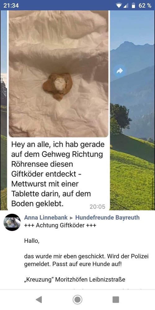 Giftköder-Giftköder-Profilbild