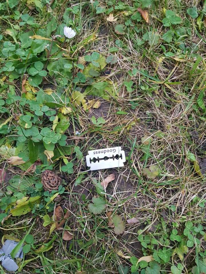 Giftköder-Rasierklingen, Giftköder?-Profilbild