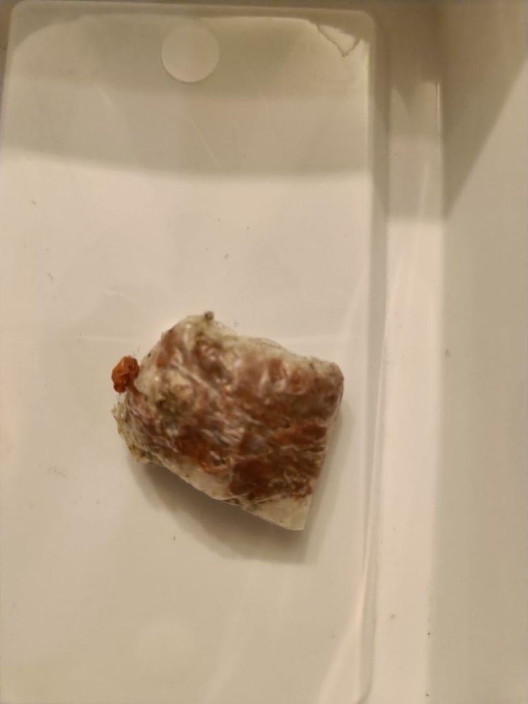 Giftköder-Möglicher Giftköder-Profilbild