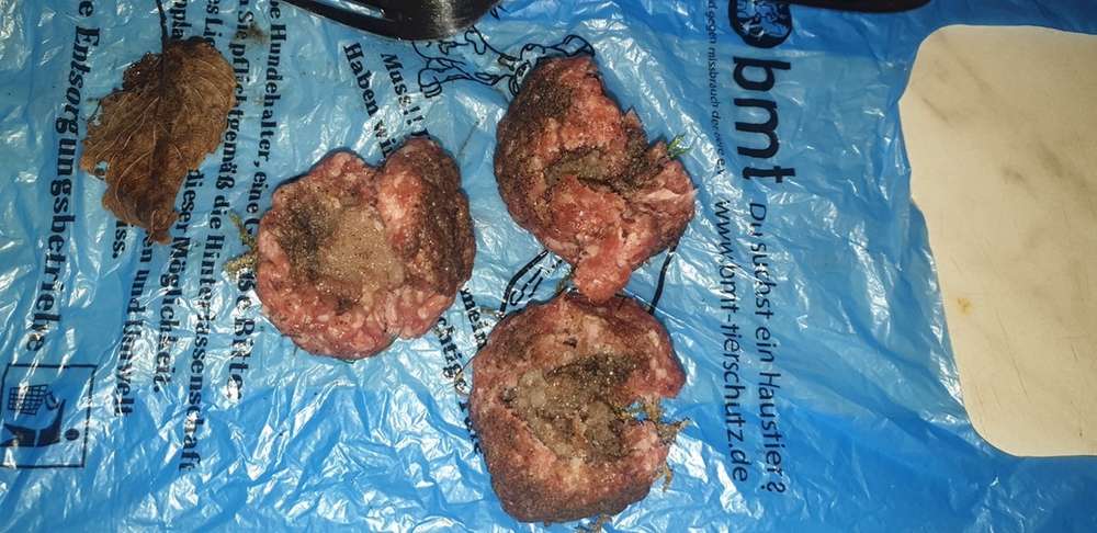 Giftköder-Präparierte Hackbällchen-Profilbild