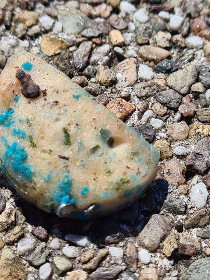 Giftköder-Knochen mit Rattengift-Profilbild