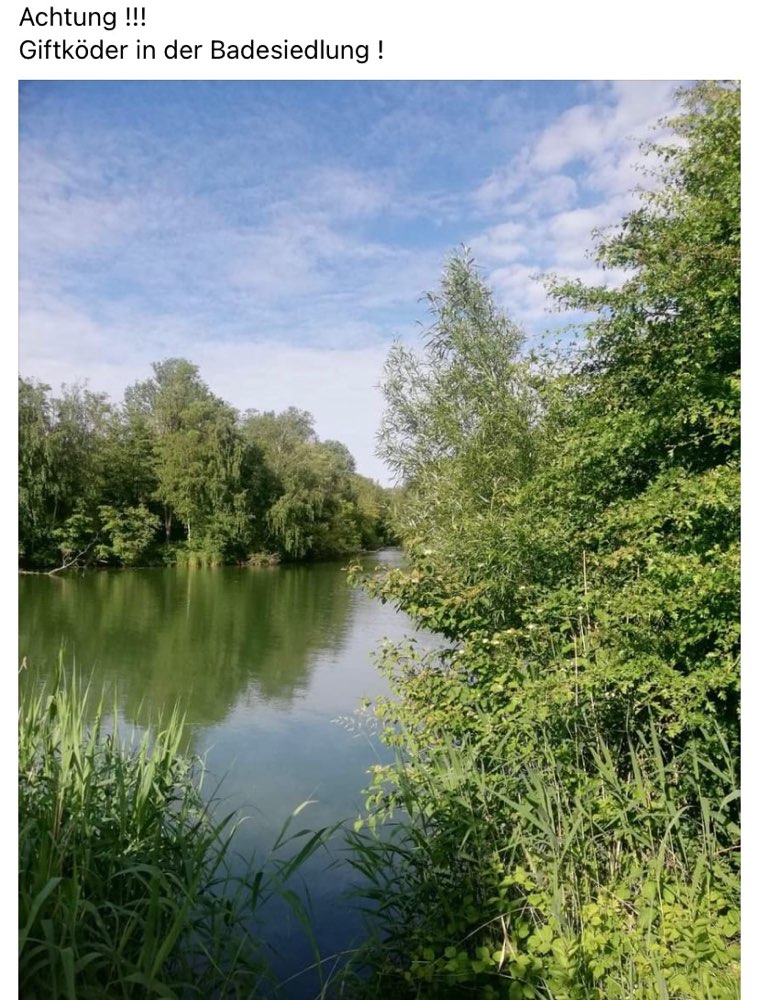 Giftköder-Giftköder-Profilbild