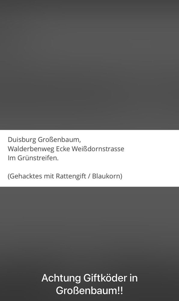 Giftköder-Hack mit Rattengift-Profilbild