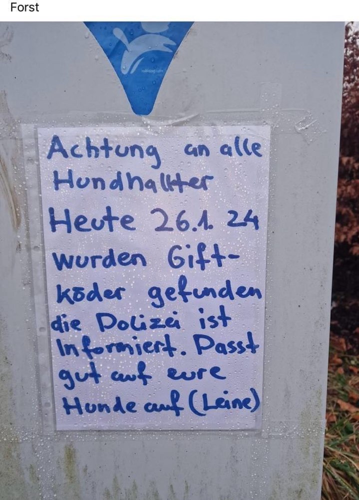 Giftköder-Giftköder-Profilbild