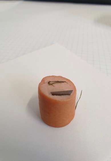 Giftköder-Wiener mit Rasierklingen-Profilbild