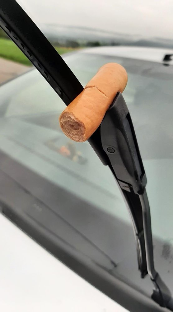 Giftköder-Möglicher Giftköder am Tierheim-Profilbild